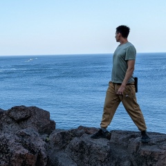 Димитрий Тырыгин, Дубна