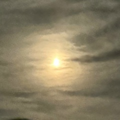 Михаил Федоренко, 24.07.1996, Георгиевск