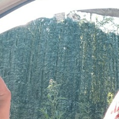 Игорь Бухарев, 06.12, Воркута