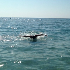 Олег Иванов, Москва