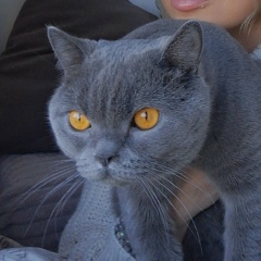 Александра Волкова, 08.12, Санкт-Петербург