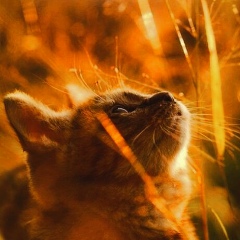 Людмила Сахаровская, 24.11, Санкт-Петербург