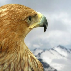 Рамазан Гаджиев, 01.06.1982, Москва