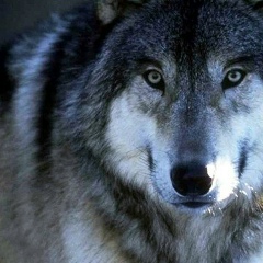 Тагайбек Сейтхан, 21.06, Актау