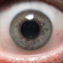 Евгений Старков, 28.08.1984, Алматы