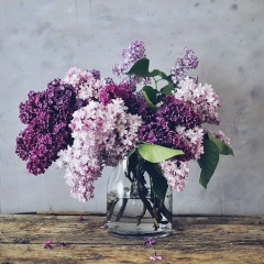 Наиля Хаирова