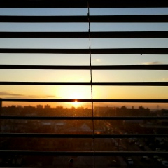 Антон B, Москва