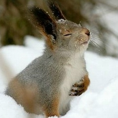 Светлана Курочкина, 20.03.1981, Алматы