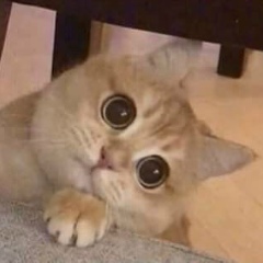 Аня Маслова, 10.09, Москва