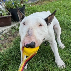 Иван Човжик, 07.07.1990