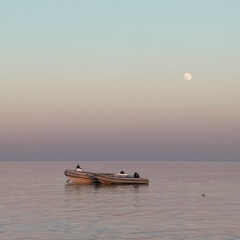 Анна Васильева, Москва