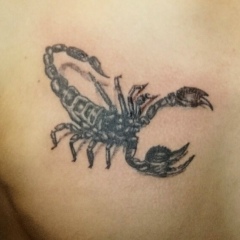 Иван Халаимов, 12.11.1985, Санкт-Петербург