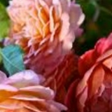 Sad Sady, 01.01.1970