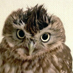 Екатерина Филина, 25.08, Москва