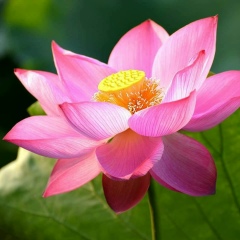 Zayar Bo, 25.02.1975, Yangon