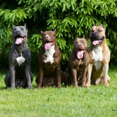Виктория Иванова, 29.06.1980, Санкт-Петербург