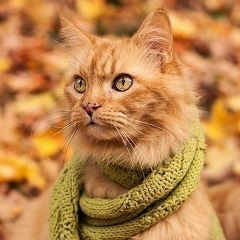 Юрий Любимов, 28.08