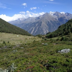 Виктор Татаров, 18.04.1984, Москва