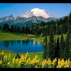 Aidar Turganbek, 19.07.1984, New York City