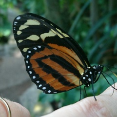 Анастасия Александрова, 25.07
