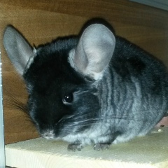 Катерина Власова, 18.01.1985, Москва