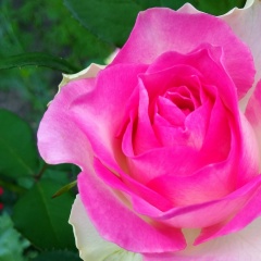 Юлія Юлія, 19.01