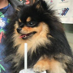 Оксана Зимина, Москва