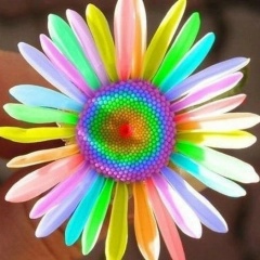 Елена Ташкинова, 07.01, Пермь