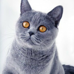 Юля Маковей, 05.10.1988, Кишинев