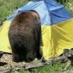 Renata Shalima, 19.05, Washington, D.C.