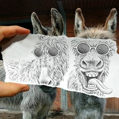 Рамазан Динаев, 15.01