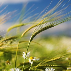 Екатерина Стойкина, Ижевск