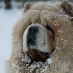 Маргарита Бирюкова, 17.09, Обнинск