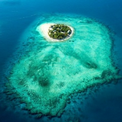 Alec Arzh, Санкт-Петербург