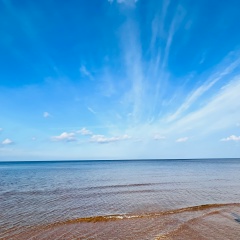 Ольга Ефремова, 13.12