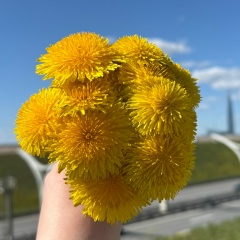 Маргарита Токарева, 02.04, Санкт-Петербург