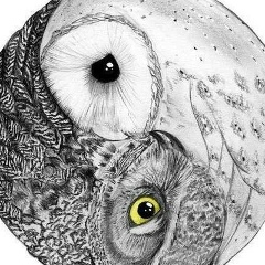 Елизавета Новикова, 16.03