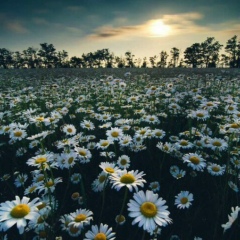 Настя Натуральникова, 03.07, Екатеринбург