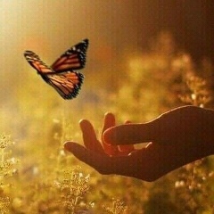 Маусымжан Танбаева, 25.08.1987, Шымкент