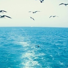 Ирина Тарасова, 14.08, Алматы