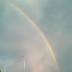 Надежда Сунчеляева