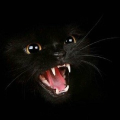 Александра Утепова, 04.10, Астана