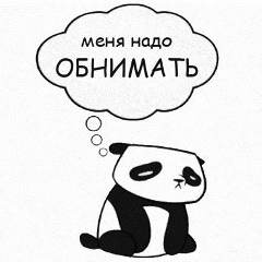 Антон Савчук, Киев