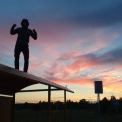 Владислав Черёмушкин