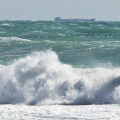 Алтынбек Сүйiнбекұлы, 06.09.1914