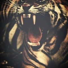 Ermek Shaikenov, 04.06.1986, Алматы