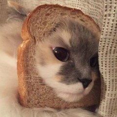 Игорь Внули, 18.05.1992, Санкт-Петербург