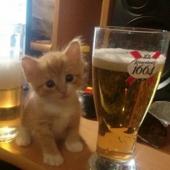 Евгений Фенин, 08.09, Астана