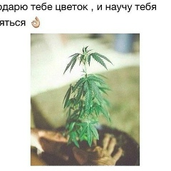 Rob Agah, 10.12, Ереван