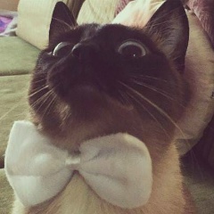 Vladimir Demidenko, 06.03, Санкт-Петербург